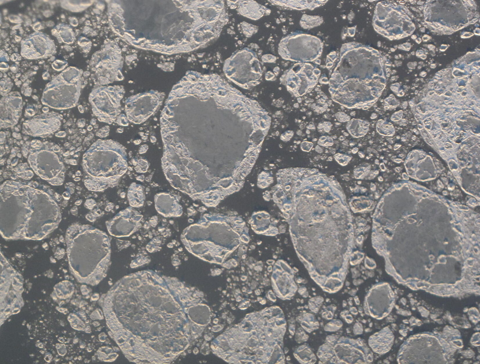 3. Sea ice in Cook Inlet.JPG